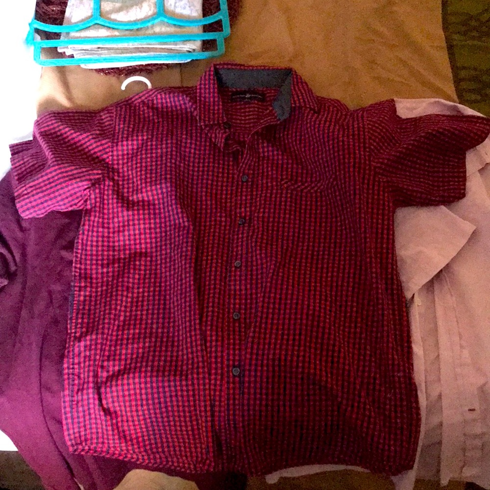 New Beverly Hills polo club collared shirt